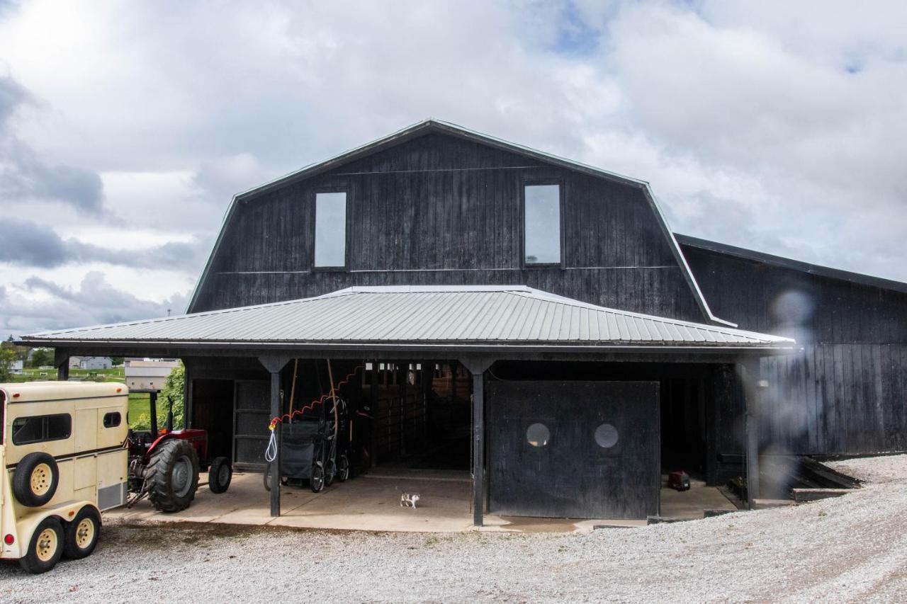 Farmhouse Of Blessings Dundee Exteriör bild